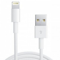 iPhone 5 Charge/Sync Cable